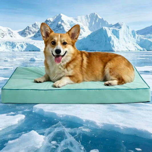 Blunique Pets Cooling Dog Bed Sofa & Mat, Gel-Free, Electricity-Free, Waterproof Non-Slip Egg-Crate Foam Support Bed for Dogs and Cats