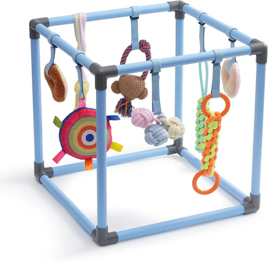Nocciola Indoor Dog Play Gym Enrichment Toy, Activity Frame with 8 Hanging Squeaky Rope and Teething Toys for Puppies and Small Dogs