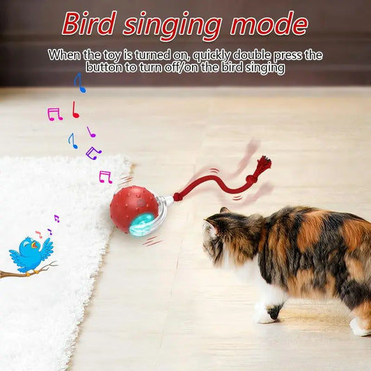 Interactive Automatic Cat Toy Ball for Indoor Cats, Fast Rolling, Motion Activated, Chirping, for Kittens and Adult Cats